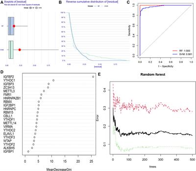 Relevance of RNA N6-Methyladenosine Regulators for Pulmonary Fibrosis: Implications for Chronic Hypersensitivity Pneumonitis and Idiopathic Pulmonary Fibrosis